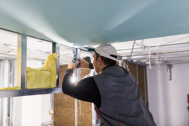 Best Insulation Inspection Services  in Kingstree, SC