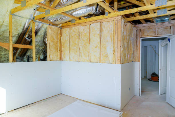 Best Professional Insulation Contractor  in Kingstree, SC