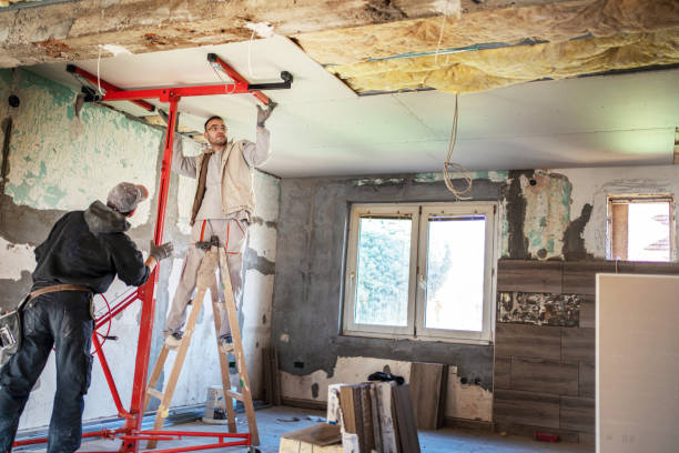 Best Insulation for New Construction  in Kingstree, SC