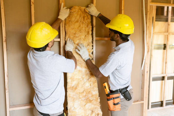 Best Wall Insulation Contractor  in Kingstree, SC
