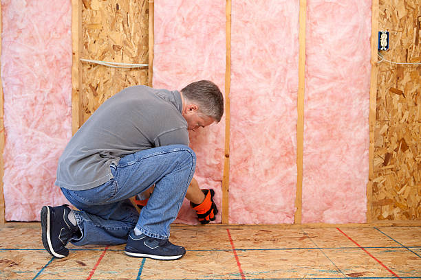 Best Best Insulation Companies  in Kingstree, SC