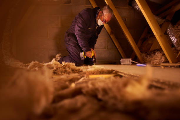 Best Insulation Removal  in Kingstree, SC